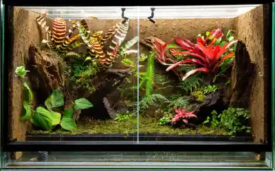 Terrarium: Größe & Einrichtung