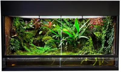 Terrarium & Haltung